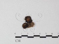 登錄號:F0023492藏品圖，第1張