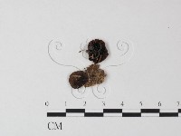 登錄號:F0023492藏品圖，第3張