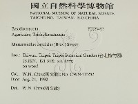 登錄號:F0023493藏品圖，第2張