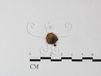 登錄號:F0023493藏品圖，第1張