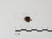 登錄號:F0023493藏品圖，第3張