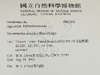 登錄號:F0023494藏品圖，第2張