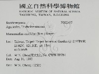 登錄號:F0023495藏品圖，第2張