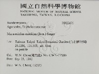 登錄號:F0023496藏品圖，第2張