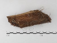 登錄號:F0023496藏品圖，第1張