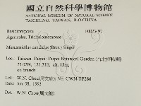 登錄號:F0023497藏品圖，第2張