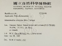 登錄號:F0023498藏品圖，第2張