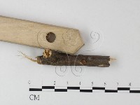 登錄號:F0023498藏品圖，第3張