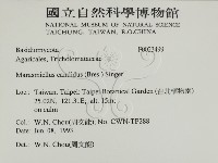 登錄號:F0023499藏品圖，第2張