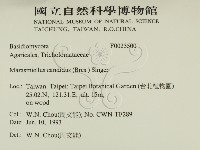 登錄號:F0023500藏品圖，第2張