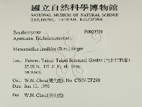 登錄號:F0023501藏品圖，第2張