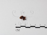 登錄號:F0023501藏品圖，第1張