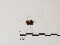 登錄號:F0023501藏品圖，第3張