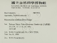 登錄號:F0023502藏品圖，第2張