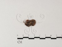 登錄號:F0023502藏品圖，第3張