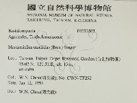 登錄號:F0023503藏品圖，第2張