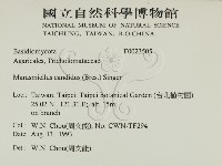 登錄號:F0023505藏品圖，第2張