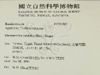 登錄號:F0023506藏品圖，第2張