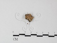 登錄號:F0023507藏品圖，第1張
