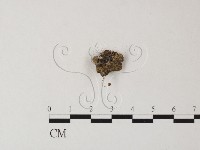 登錄號:F0023507藏品圖，第3張