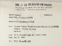 登錄號:F0023508藏品圖，第2張