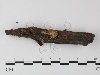 登錄號:F0023508藏品圖，第3張