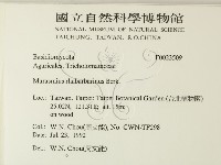 登錄號:F0023509藏品圖，第2張