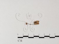 登錄號:F0023509藏品圖，第3張