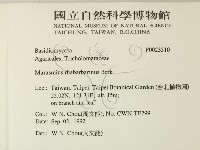 登錄號:F0023510藏品圖，第2張