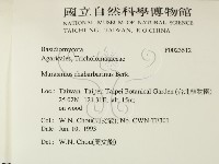 登錄號:F0023512藏品圖，第2張