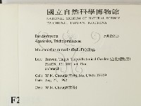 登錄號:F0023515藏品圖，第2張