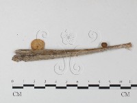 登錄號:F0023515藏品圖，第3張