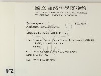 登錄號:F0023516藏品圖，第2張