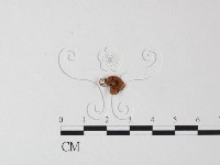登錄號:F0023516藏品圖，第1張