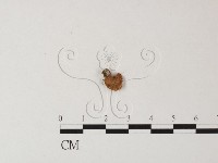 登錄號:F0023516藏品圖，第3張