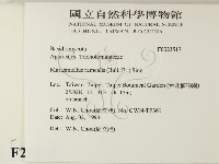 登錄號:F0023517藏品圖，第2張