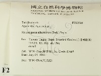 登錄號:F0023518藏品圖，第2張