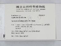 登錄號:F0023519藏品圖，第2張