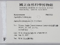 登錄號:F0023522藏品圖，第2張