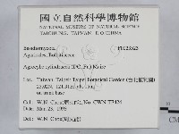 登錄號:F0023523藏品圖，第2張