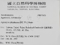 登錄號:F0023526藏品圖，第2張