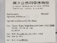 登錄號:F0023527藏品圖，第2張