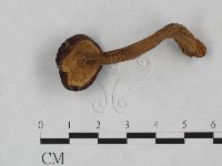 登錄號:F0023527藏品圖，第1張