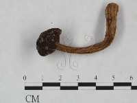 登錄號:F0023527藏品圖，第3張