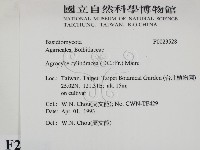 登錄號:F0023528藏品圖，第2張