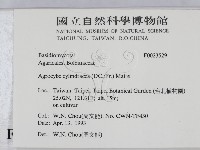 登錄號:F0023529藏品圖，第2張