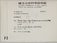 傘菌屬藏品圖，第2張