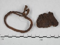 登錄號:F0023532藏品圖，第1張