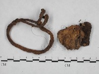 登錄號:F0023532藏品圖，第3張