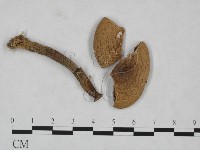 登錄號:F0023533藏品圖，第1張